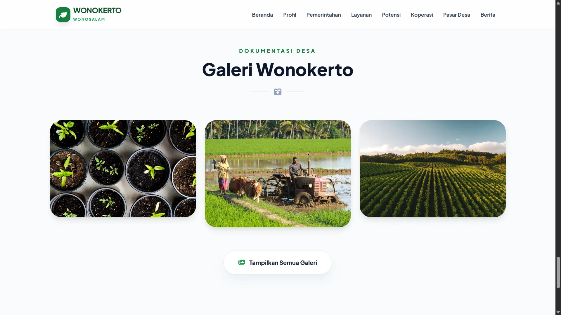 Website Desa Wonokerto